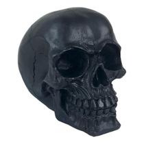 Crânio Caveira Esqueleto Preto Black Skull Decorativo