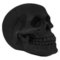 Crânio Caveira Sócrates Realista Osso Várias Cores De Resina