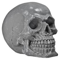 Crânio Caveira Sócrates Realista Trincado Osso Resina Cinza
