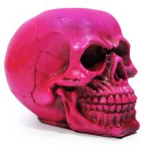 Crânio Caveira Sócrates Realista Trincado Osso Resina Rosa