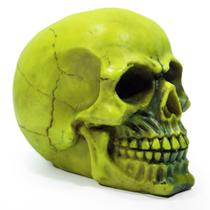 Crânio Caveira Sócrates Realista Trinco Osso Resina Amarelo