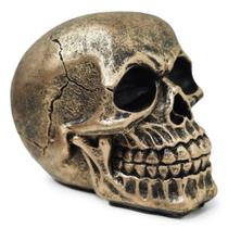 Crânio Caveira Sócrates Realista Trinco Osso Resina Dourado