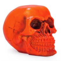 Crânio Caveira Sócrates Realista Trinco Osso Resina Laranja
