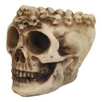CRANIO CINZEIRO Caveira Pequeno de Resina - Decore Casa