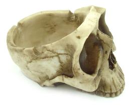 CRANIO CINZEIRO Medio de Resina Betumado - Decore Casa