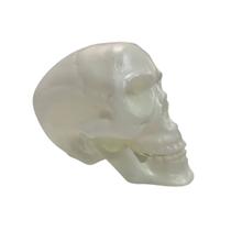 Cranio com Mandibula Neon - Pais e Filhos