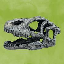 Crânio de Dinossauro Decoração - FRAGATA