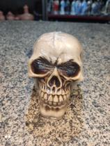 Crânio de Resina