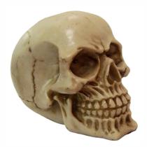 Crânio decorativo pequeno caveira decoração resina 9 cm - Shop Everest