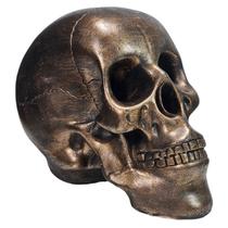 Crânio Esqueleto Caveira Da Vinci Grande Trincado Dourado