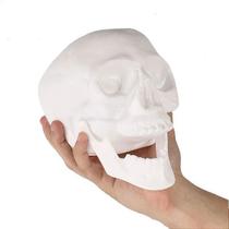 Crânio Esqueleto Caveira Decoração Halloween - Lua de Cristal Fantasias