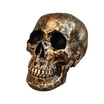 Cranio Grande Tamanho Real de Resina cor Dourado - Decore Casa