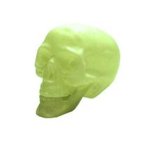 Crânio Mandíbula Neon - BRASILFLEX