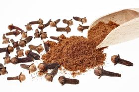 Cravo Em Pó 1 Kg Total food Granel