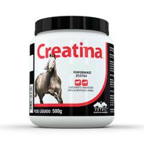 Creatina 500g Vetnil