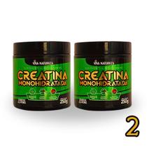 Creatina Monohidratada 100% Pura - Pote 250g Viva Natureza