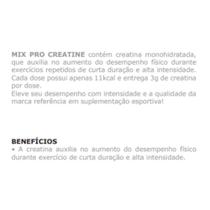 Creatina Probiotica Mix Pro 300G Força E Desempenho