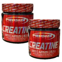 CREATINA PROSIZE 2x 300g - GUARANÁ COM AÇAÍ