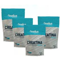 Creatina Pura 1,2 Kg Creatina Pura 1,2 Kg