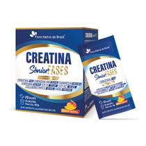 Creatina Sênior Fases Manga Coenzima Magnésio Vit D K2 Colageno 200g Flora Nativa