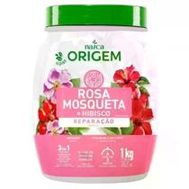 Creme de Pentear Rosa Mosqueta E Hibisco 3 em 1 Origem 1KG Creme de Pentear Rosa Mosqueta E Hibisco 3 em 1 Origem 1KG