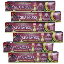 Creme dental ESSENTIAL TOOTHPASTE Sea Moss 6,5 oz Sem flúor Creme dental ESSENTIAL TOOTHPASTE Sea Moss 6,5 oz Sem flúor