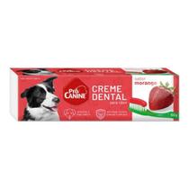 Creme Dental para Cachorro PróCanine Morango 60g Creme Dental para Cachorro PróCanine Morango 60g