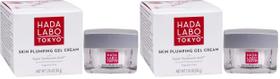 Creme Gel Hidratante Facial Hada Labo Tokyo 100 ml - Kit com 2
