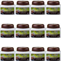 Creme Hidratante San Jully Castanha da Índia Pote 240g Kit 12 Unidades Creme Hidratante San Jully Castanha da Índia Pote 240g Kit 12 Unidades