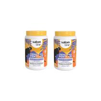 Creme Para Pentear Salon Line 1Kg Umidificador - 2Un