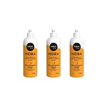 Creme Para Pentear Salon Line 500Ml Hidra - Kit Com 3Un