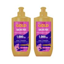 Creme Pentear Niely Gold Salva Fios 250ml - Kit C/ 2un