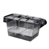 Criadeira Acrilica Grande Aquario Alevino Lebiste Guppy Beta
