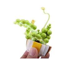Crianças DIY Simulação Suculentas Bonsai Cacto Aloe Vera Blocos De Construção Brinquedo Criativo