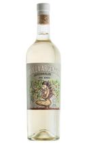 Criolla sauvignon blanc Criolla sauvignon blanc