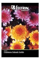 Crisantemo Dobrado Sortido - 320mg de Sementes