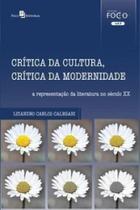Crítica da cultura, crítica da modernidade: a representação da literatura no século XX