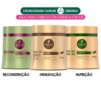 Cronograma Capilar 500g Bananeira Mandioca Murumuru Haskell