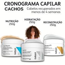 Cronograma Capilar Cachos Hidratação/Umectação, Nutrição e Reconstrução - 3 Máscaras de 250g