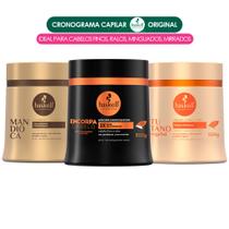 Cronograma Capilar Haskell Cabelos com Afinamento Capilar 500g (mand/tut/encorpa)