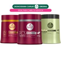 Cronograma Capilar Haskell Cabelos Lisos e Alisados 500g (liso/pós/hidranutre)