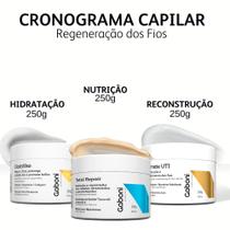 Cronograma Capilar Hidratação, Nutrição e Reconstrução - 3 Máscaras de 250g