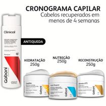 Cronograma Capilar Intensivo - Cabelos Recuperados em Menos de 4 semanas Gaboni