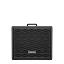 Cubo Guitarra Vosstorm Gx10-10 Pol 40W - Preto - 110V/220V