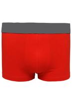 Cueca Boxer Adulto Elastano P M G Gg Várias Cores