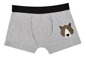 Cueca Boxer Infantil Com Estampa Lateral Nº 2 Ao 10 Anos