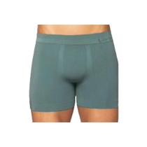 Cueca lupo boxer ref:766 masculino