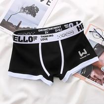 Cuecas Boxer Masculinas De Algodão Em 3 Cores L XL 2XL 3XL, Boxers Esportivos Macios E Respiráveis