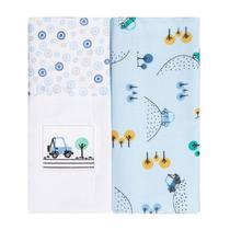Cueiro Manta Flanelado Bordado 80cm X 80cm Com 02 Unidades - Papi