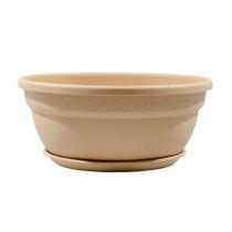 Cuia Vic com Prato Desli Areia - 28cm Cuia Vic com Prato Desli Areia - 28cm